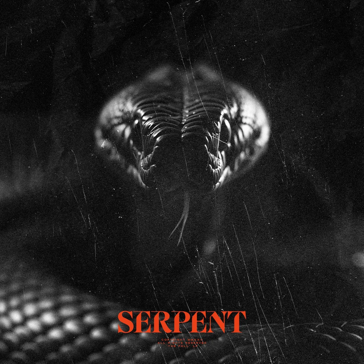 Single artwork for Serpent from The Fall by Tommee Profitt and Sam Tinnesz